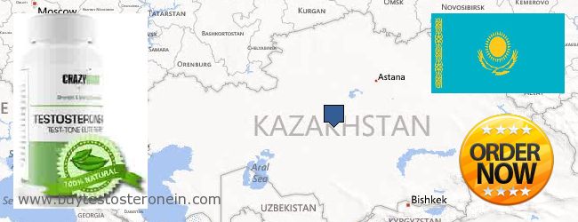 Πού να αγοράσετε Testosterone σε απευθείας σύνδεση Kazakhstan